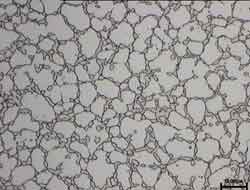 SARASTEL microstructure