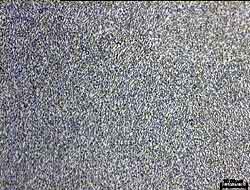 SARATHERM microstructure